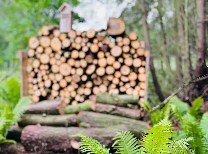 Blockhus Am Diek Апартаменты Дорум-Нойфельд